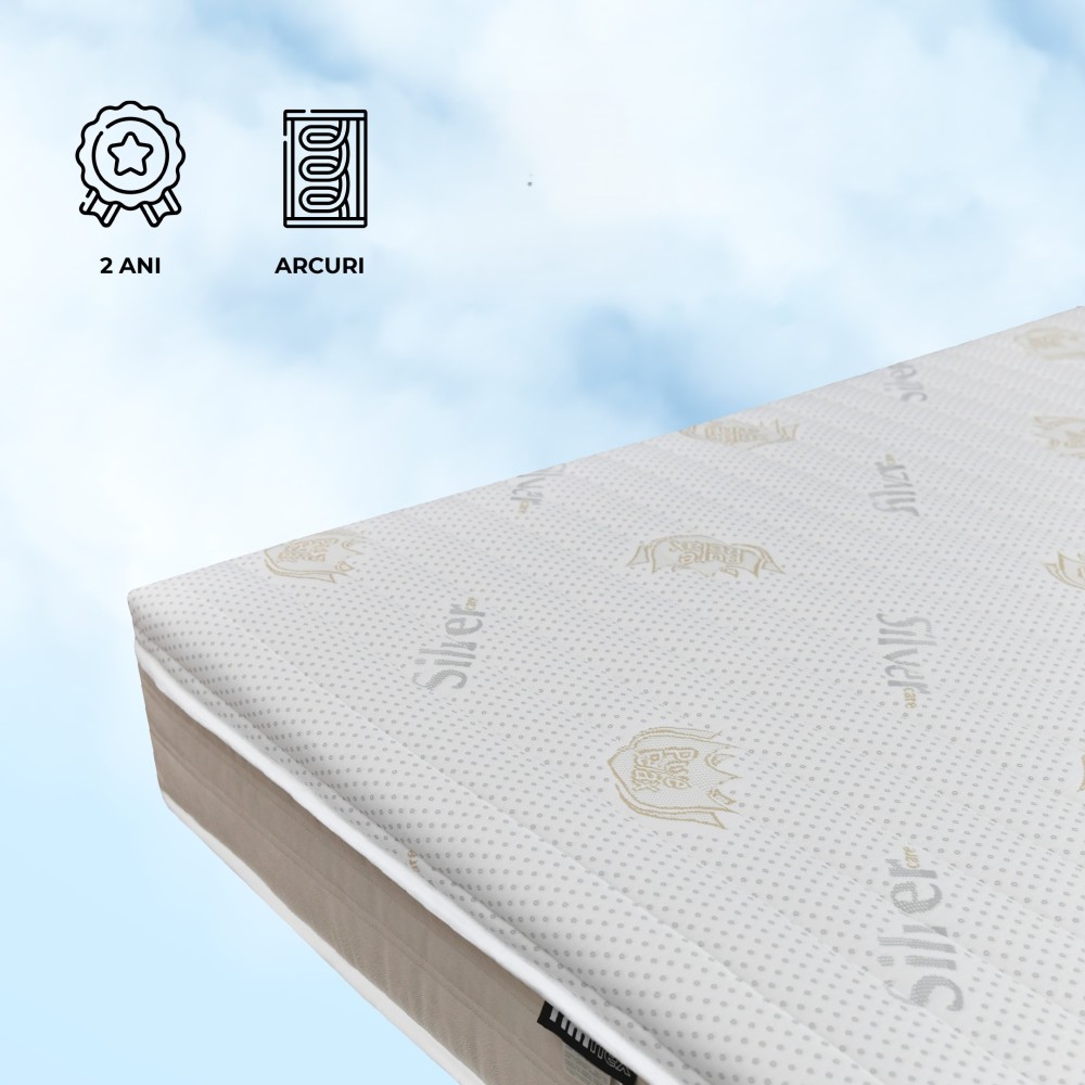 Saltea DENSITY SPRINGS, 25cm