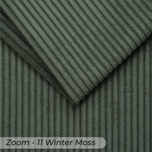 Zoom 11 Winter Moss  + 99,00 Lei 